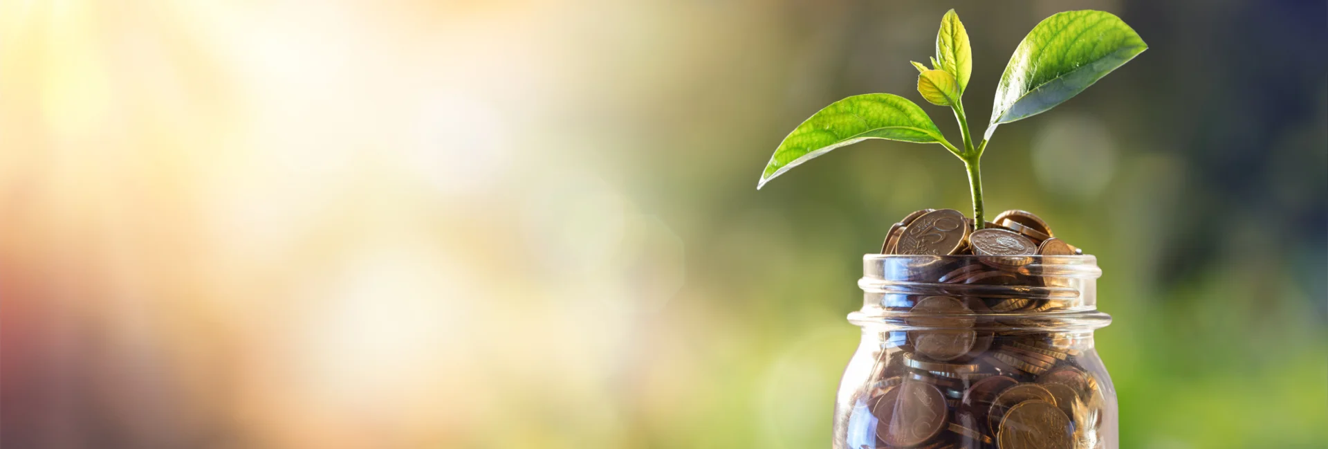 Koida Tax and Accounting Slide 1